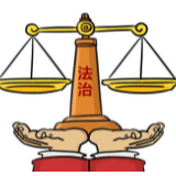 2019年我国法治政府和基层社会治理建设成效显著