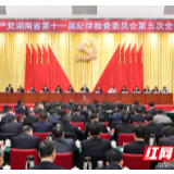 杜家毫：以全面从严治党新成效推进治理体系和治理能力现代化