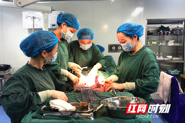 微信图片_20200119114219_副本.jpg