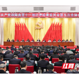 发挥纪检监察力量　推动湖南高质量发展