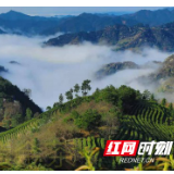 吉首大学指导三项中国重要农业文化遗产申报成功