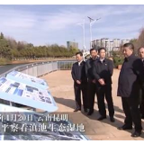 独家视频丨习近平察看滇池生态湿地