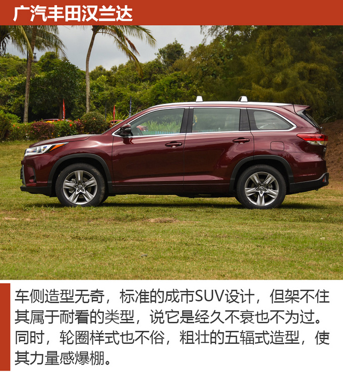 全家开车回家过年选车很重要不妨看看这几款-图3