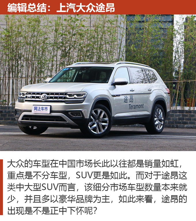 全家开车回家过年选车很重要不妨看看这几款-图12