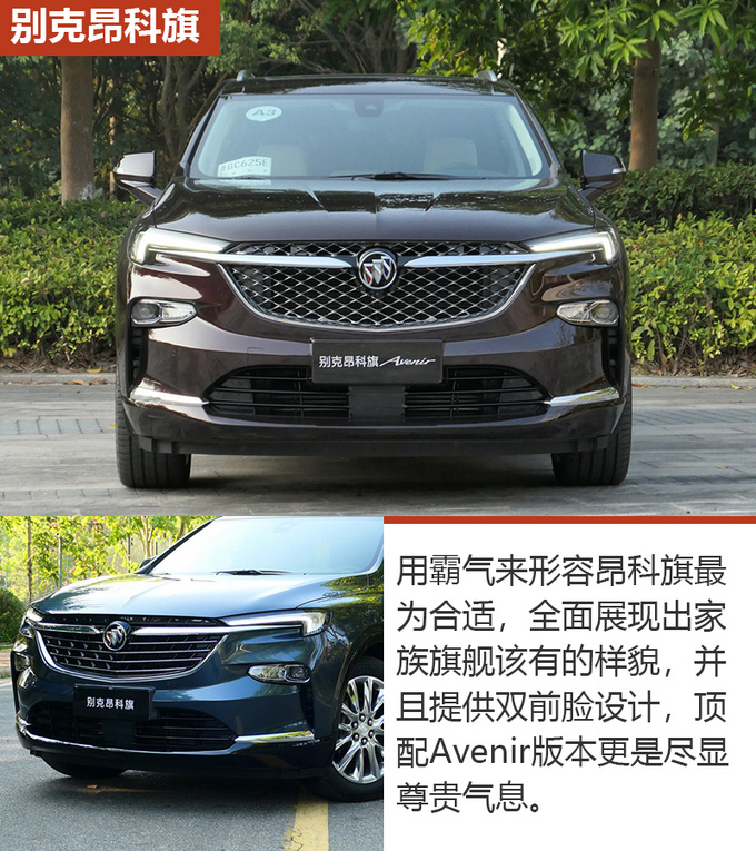 全家开车回家过年选车很重要不妨看看这几款-图3