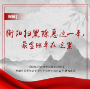 图解|衡阳扫黑除恶这一年，最全账单在这里