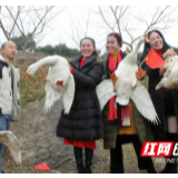 吉首：新年活动趣味多 抓鸡抓天鹅比赛精彩上演