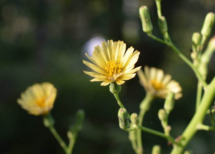 timg (33).jpg timg (33).jpg