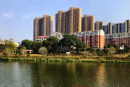永州经开区：生态修复治黑臭水体 横冲小溪重现一江碧水