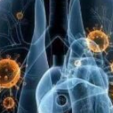 辽宁确认2例输入性新型冠状病毒感染的肺炎确诊病例