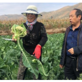 英智库报告：中国全球繁荣榜上升8位 减贫成就瞩目