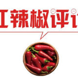 【地评线】红辣椒网评：“中国方案”在新的一年获更多期待