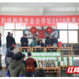 新春走基层丨新田：无花果树结出“致富果” 村民喜领分红过大年