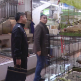 湘潭县开展贩卖野生动物专项检查
