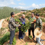 新春走基层：广西容县脱贫户喜气洋洋过大年