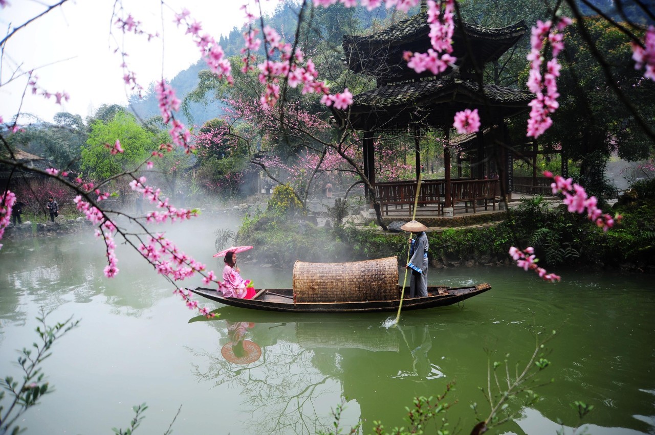 春风徐来,万物复苏,桃花,樱花,油茶花,各色花漫山遍野,繁花绽放,姹紫