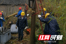 大年初一 泸溪县电力工人雨中抢修变压器