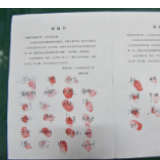 常德医护人员纷纷请战：到最前线去抗击病毒