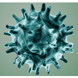 关于新型冠状病毒感染肺炎密切接触者的七问七答