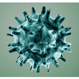 针对新型冠状病毒有效的消毒方式有哪些？湘雅医院专家权威解答