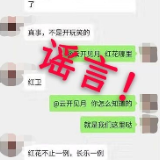 【辟谣侠盟】网传罗江镇出现疫情？公安：系谣言，已依法处理传谣者