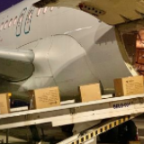 各部门多措并举全力应对疫情