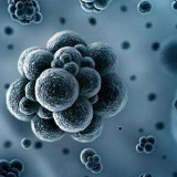 永州市林业局：综合施策 强化野生动物疫情防控