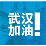 注定，这是一个不平凡的春节：你来了，我心安