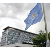 环球视角：中国正采取史无前例的措施遏制疫情！