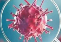 永州市纪委监委迅速开展疫情防控监督检查