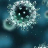 沪新增13例新冠肺炎确诊病例，本地常住人口患者分区图公布