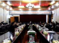 罗建华组织召开新型冠状病毒感染的肺炎疫情防控会商会议