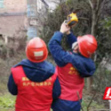 保供在邵阳｜国网邵阳隆回县供电公司：全力保障疫情防控可靠供电