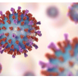 湖南省国资委进一步研究部署新型冠状病毒感染的肺炎疫情防控工作