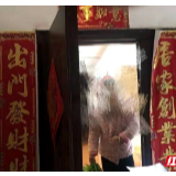 居家隔离不孤单 社区“帮代办”贴心服务送上门      