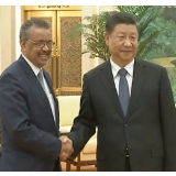 习近平会见世界卫生组织总干事