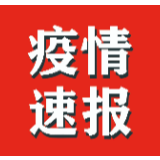 岳阳新增9例，累计报告新型冠状病毒感染的肺炎确诊病例26例