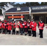武冈村村成立党员突击队 奋力打赢防疫阻击战