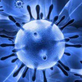 娄底市市场监督管理局:关于严格规范防控新型冠状病毒肺炎医疗用品价格行为提醒告诫函