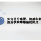 动漫 | 时小刻教您如何区分感冒、流感和新型冠状病毒感染的肺炎