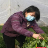 捐口罩、捐蔬菜……他们是防“疫”之战的坚实后盾