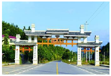 流动党员离乡不离心，战“疫”时刻显担当