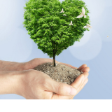 抗疫在基层|怀化南站王晓年:发放口罩,能够帮一个是一个