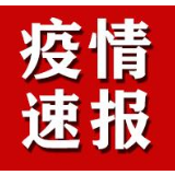 岳阳新增新型冠状病毒感染的肺炎8例，累计确诊37例，重症2例