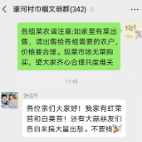保供在岳阳 | 君山区濠河村：巾帼战疫情 送菜暖人心
