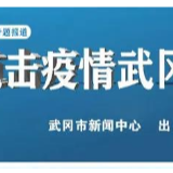 武冈市调度疫情防控监督检查工作