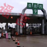 【辟谣侠盟】娄底网信辟谣小分队在行动