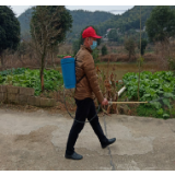 众志成城 凝聚战胜疫情的人民力量