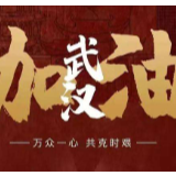 武汉围城日记⑧|“搀扶”起家中的老人，早日走出武汉的“冬天”