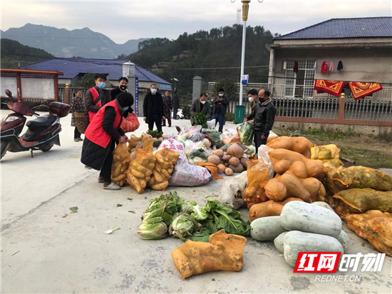 图片1.jpg 图片1.jpg